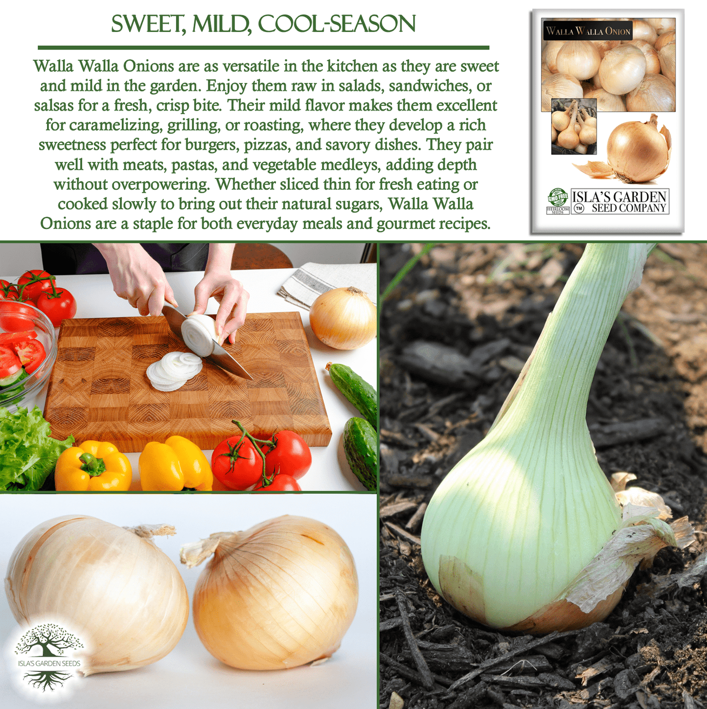 Walla Walla Onion | 300 Seeds/Pk
