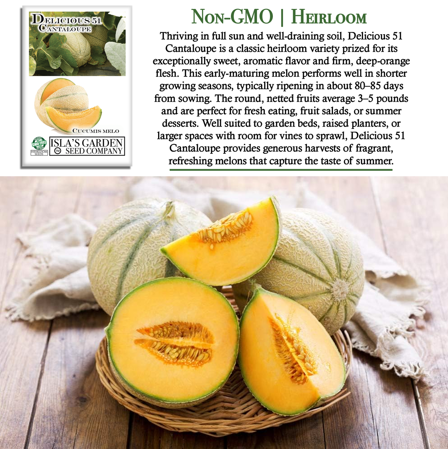 Delicious 51 Cantaloupe | 50 Seeds/Pk