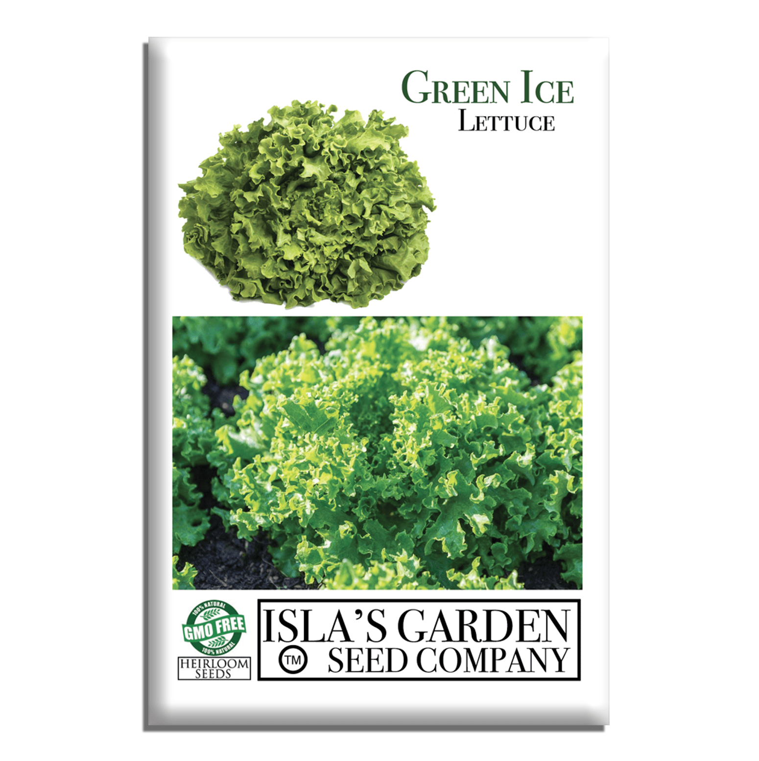 600+ GREEN ICE Lettuce Seeds - Organic, Non-GMO - Little Seed Store - Easy Grow