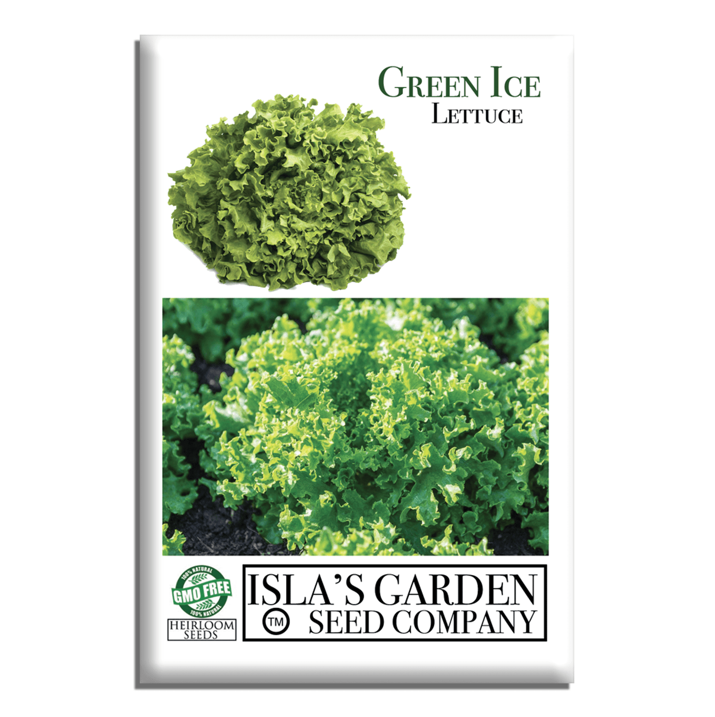 Green Ice Lettuce | 1000 Seeds/Pk