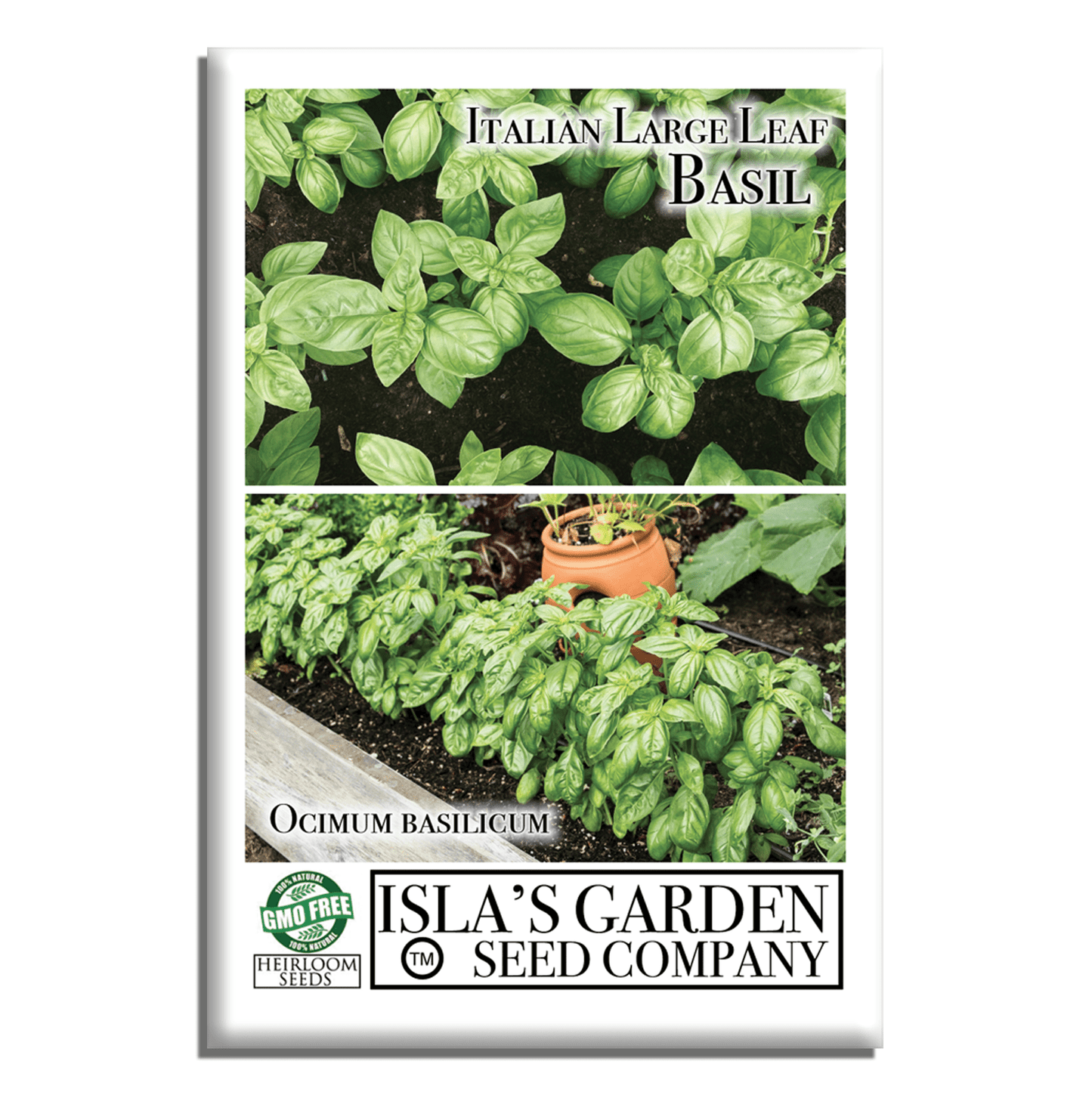 Italian Large Leaf Basil | 500 Seeds/Pk