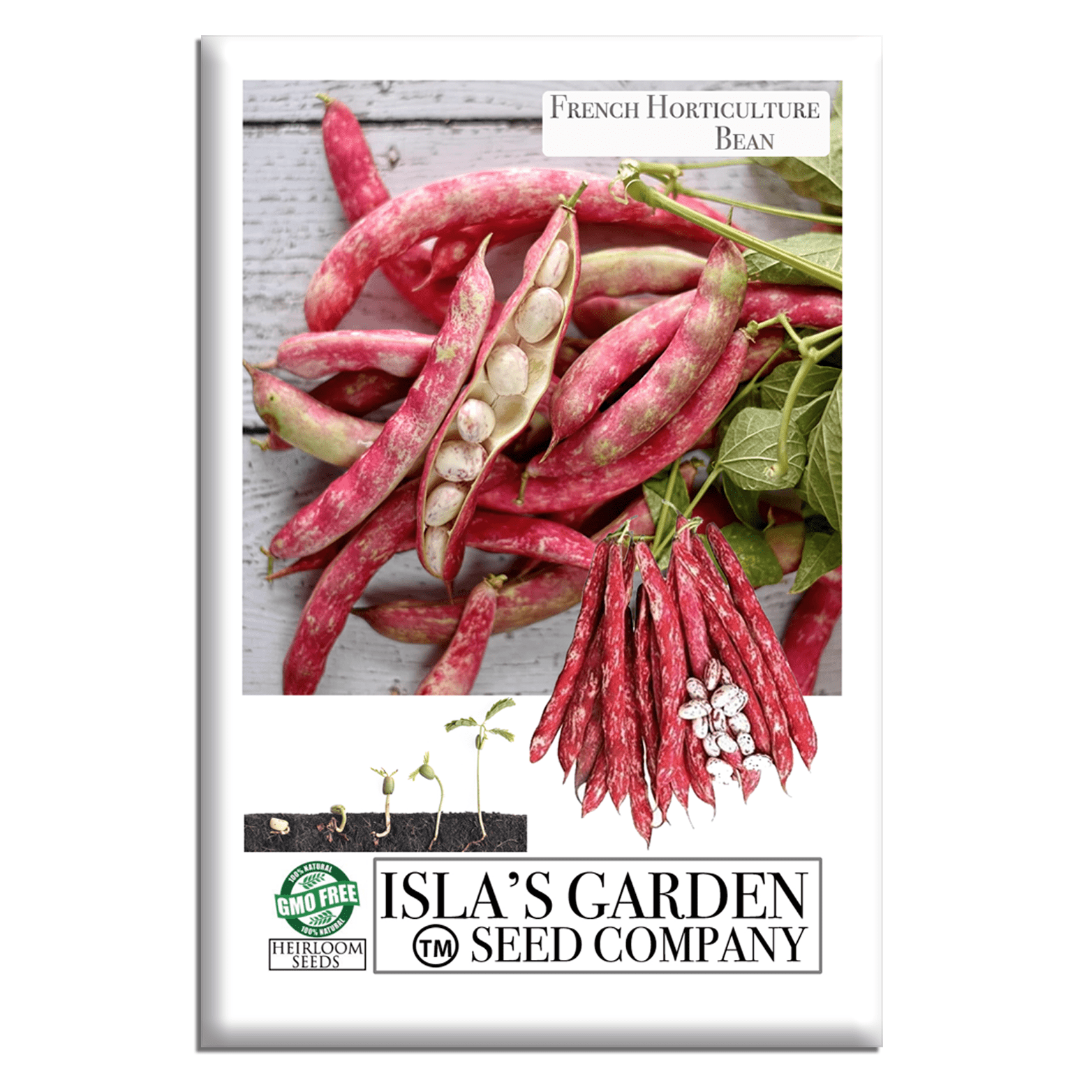 French Horticulture Bean Seeds for Planting, 50+ Heirloom Seeds Per Packet, (Isla's Garden Seeds), Non GMO Seeds, aka. Borlotti Bean, Botanical Name