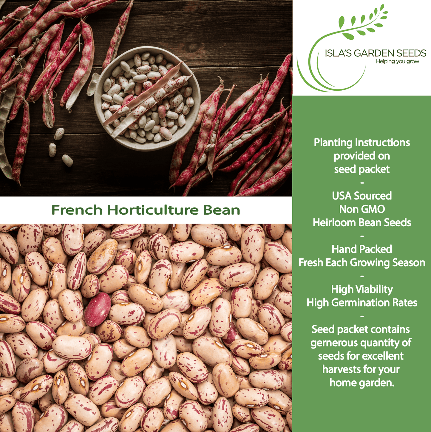 French Horticulture Beans Borlotti | 50 Seeds/Pk