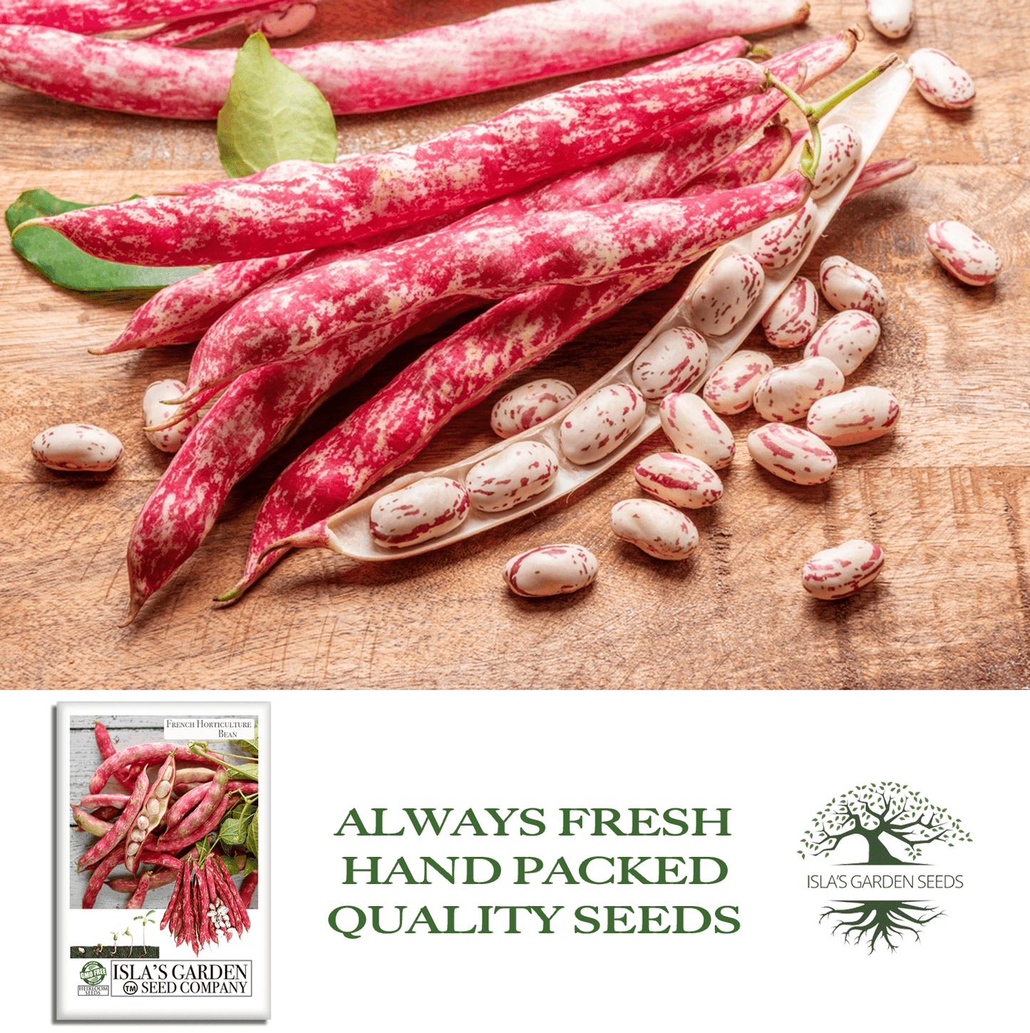 French Horticulture Beans Borlotti | 50 Seeds/Pk
