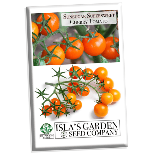 Sunsugar Supersweet Tomato, 25 Seeds/ PK