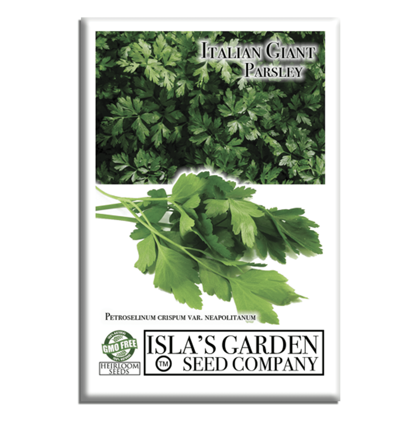 Italian Giant Parsley | 200 Seeds/Pk