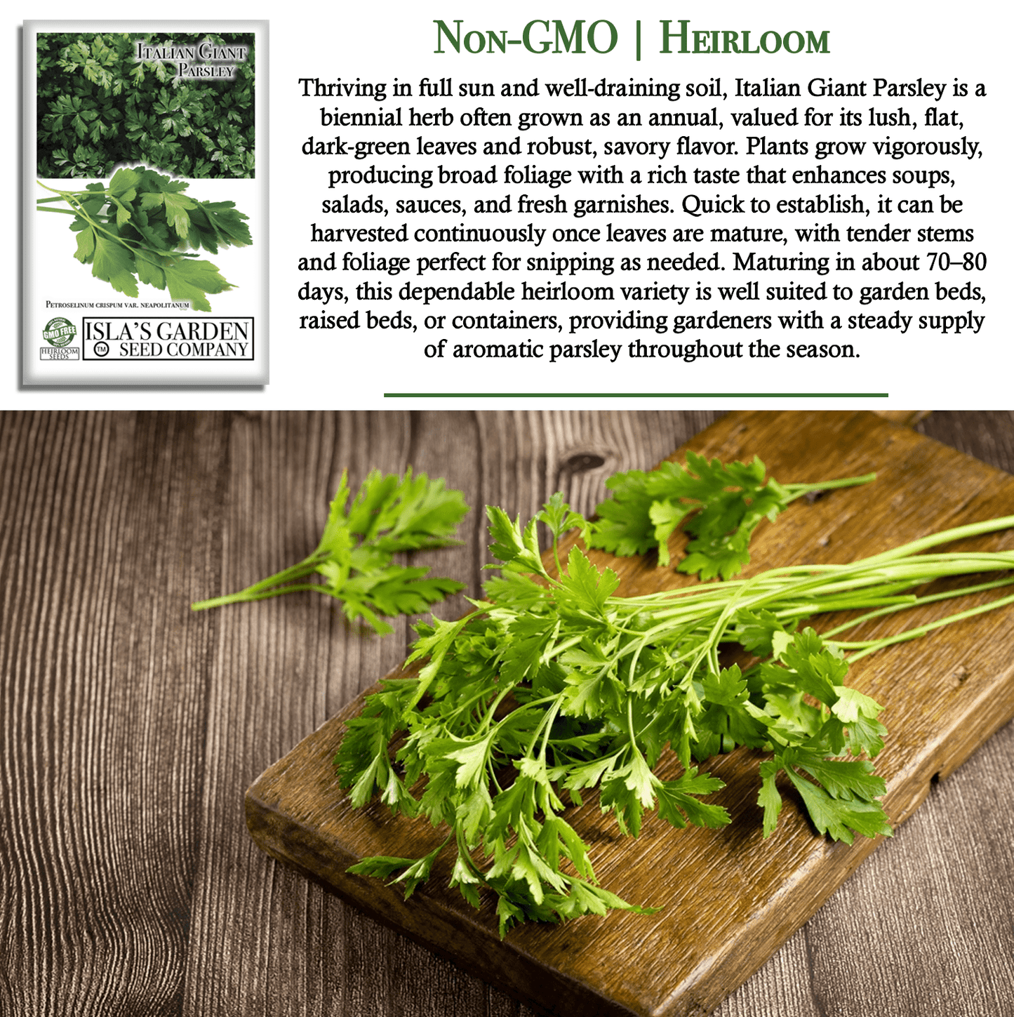 Italian Giant Parsley | 200 Seeds/Pk