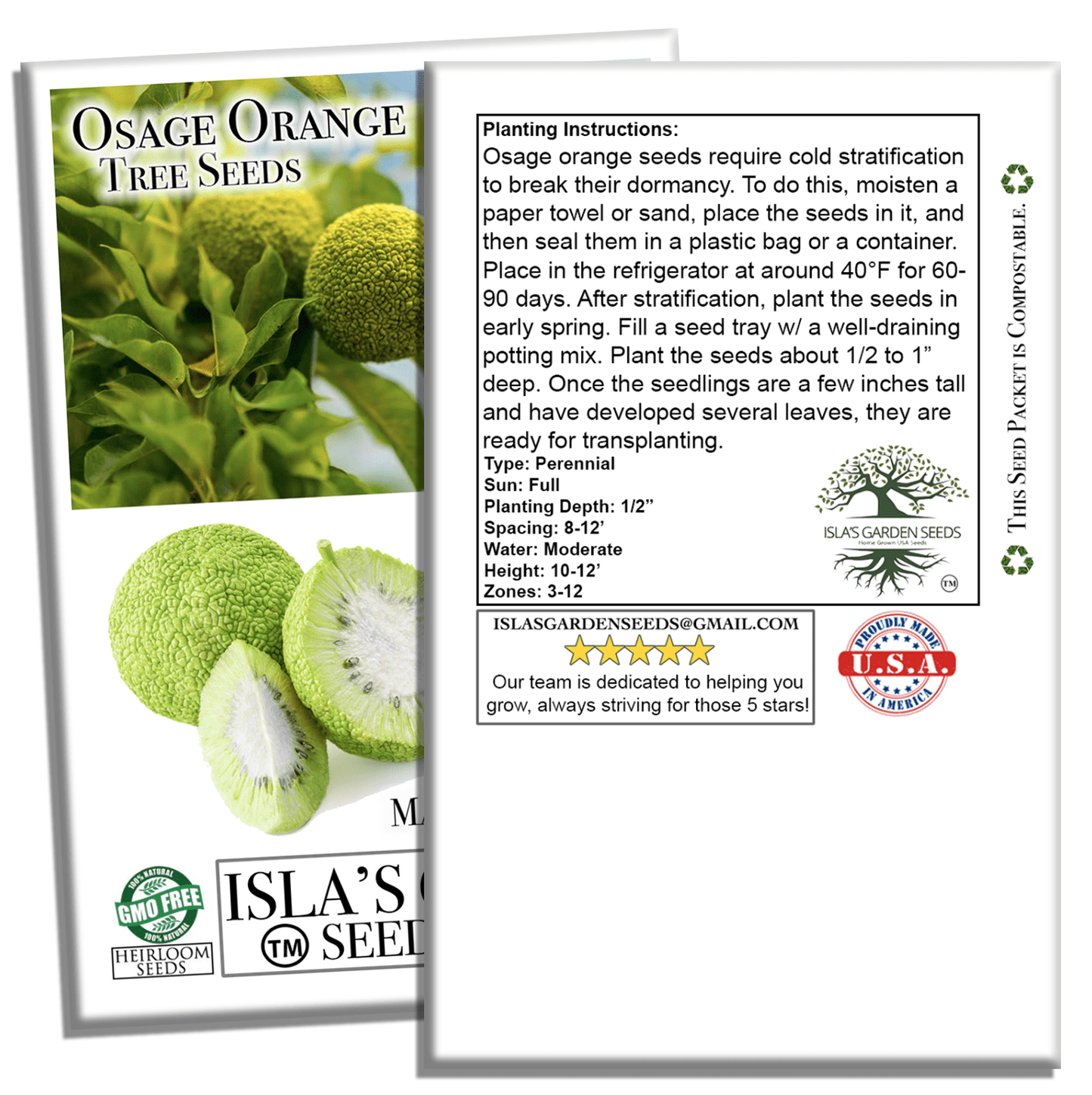 Osage Orange Tree Seeds | 30 Seeds/Pk