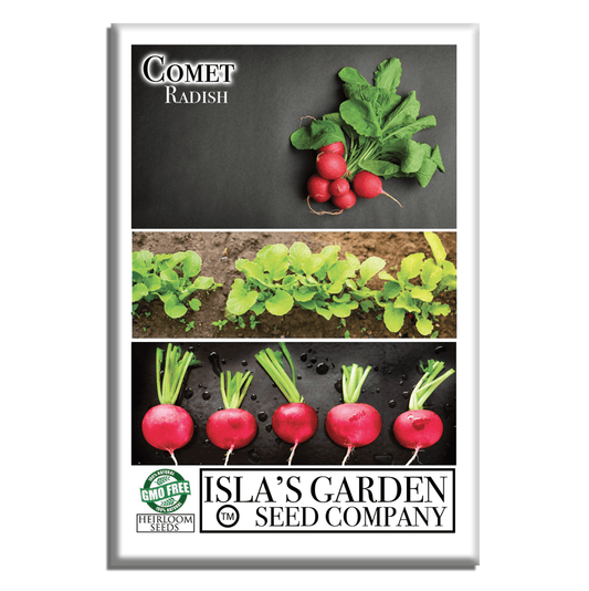 Comet Radish | 200 Seeds/Pk