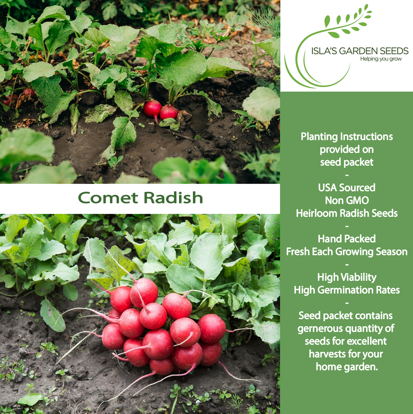 Comet Radish | 200 Seeds/Pk