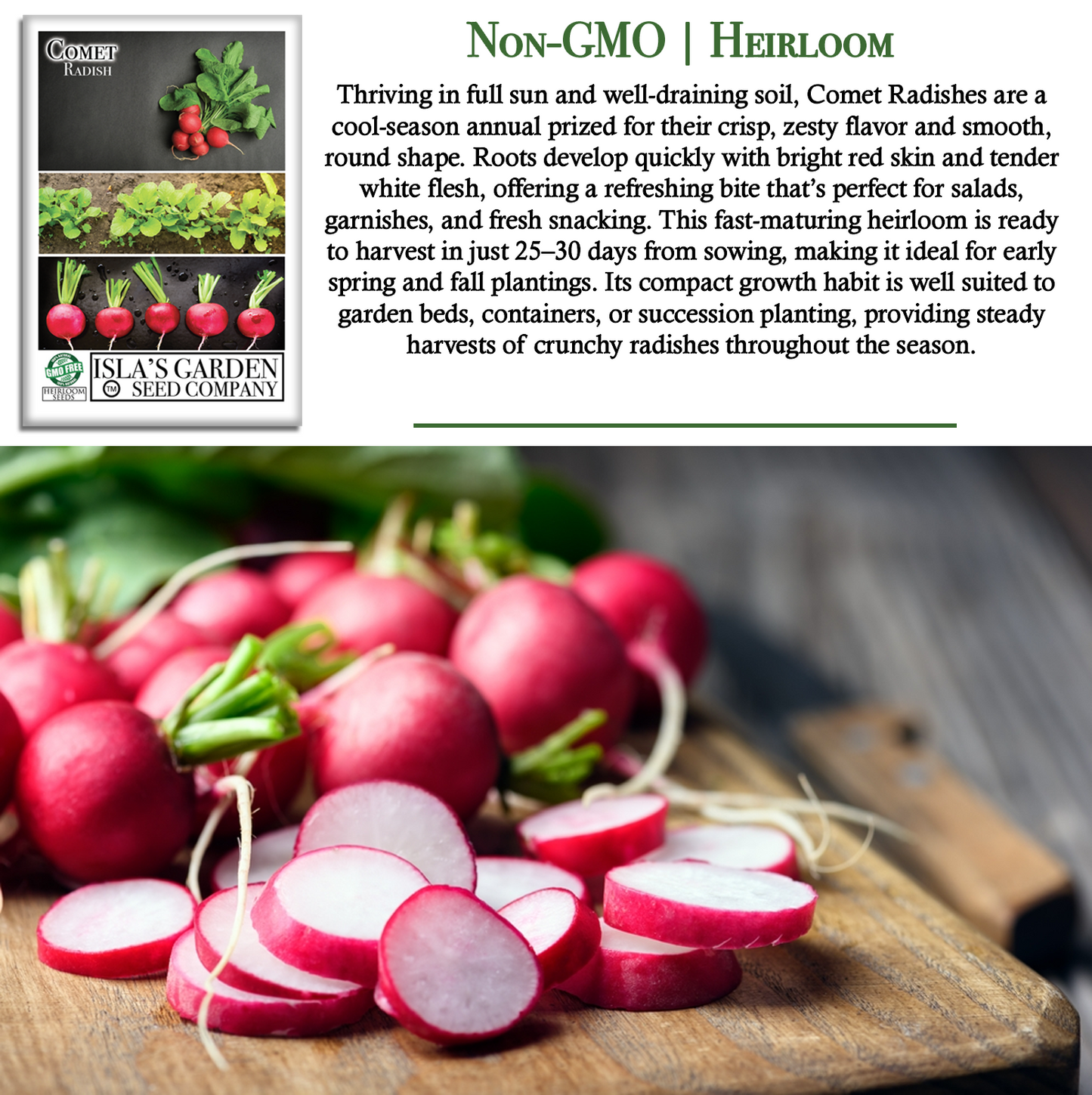 Comet Radish | 200 Seeds/Pk