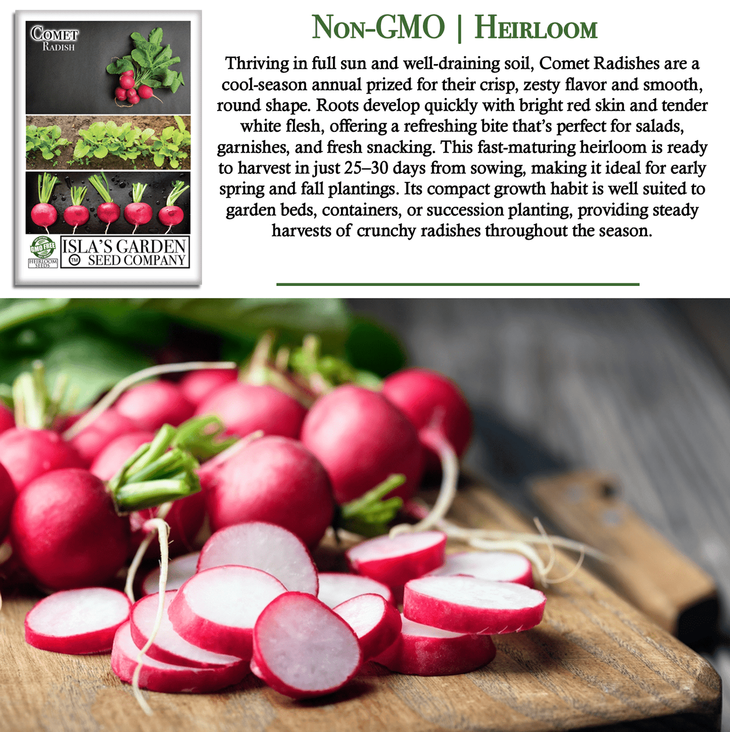 Comet Radish | 200 Seeds/Pk