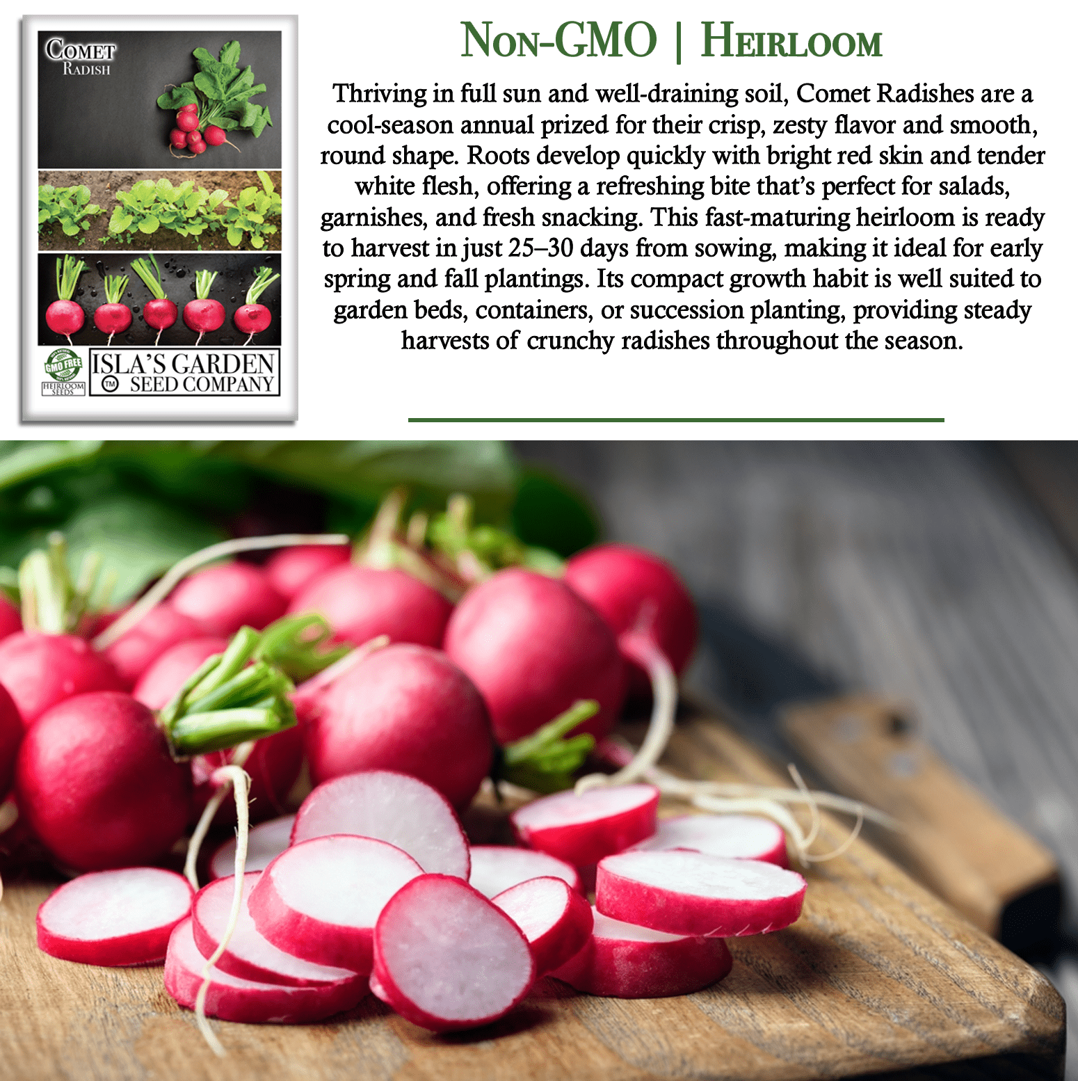 Comet Radish | 200 Seeds/Pk
