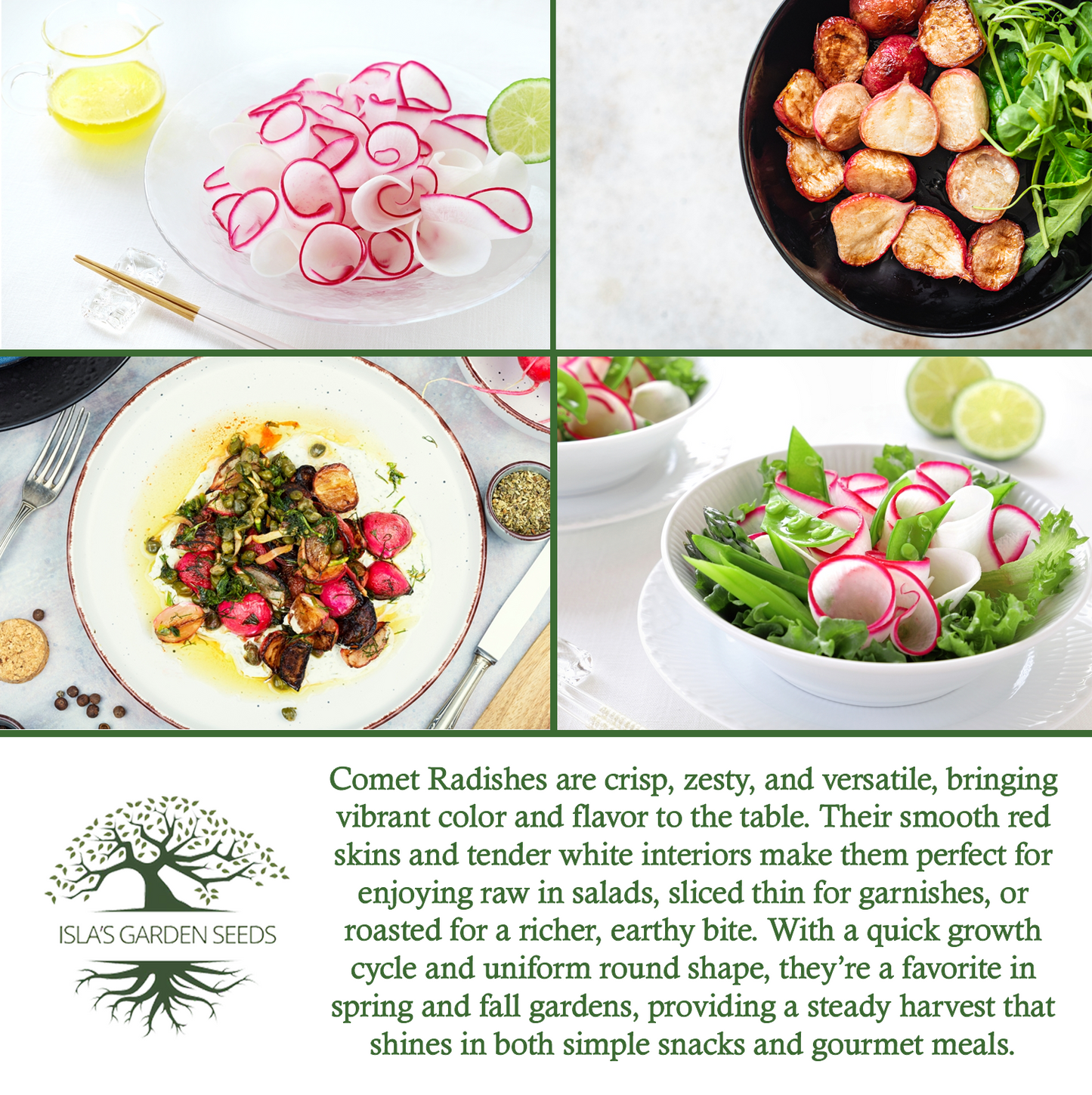 Comet Radish | 200 Seeds/Pk