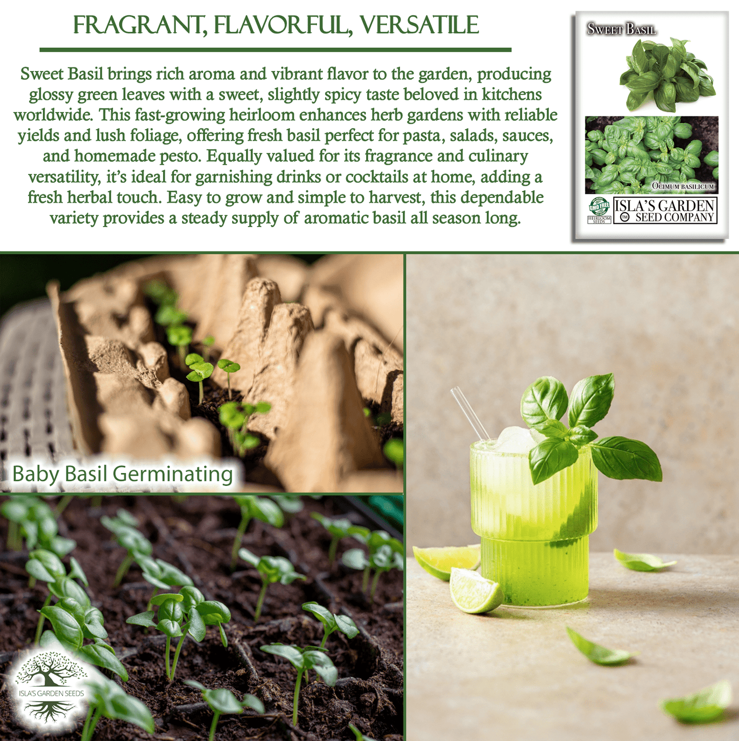 Sweet Basil | 250 Seeds/Pk