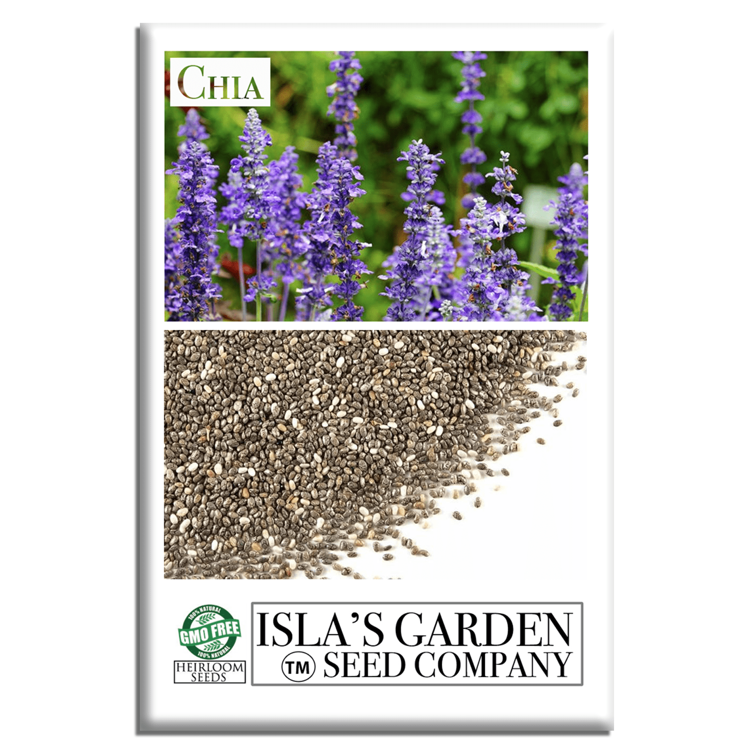 plant chia seeds indoors Chia