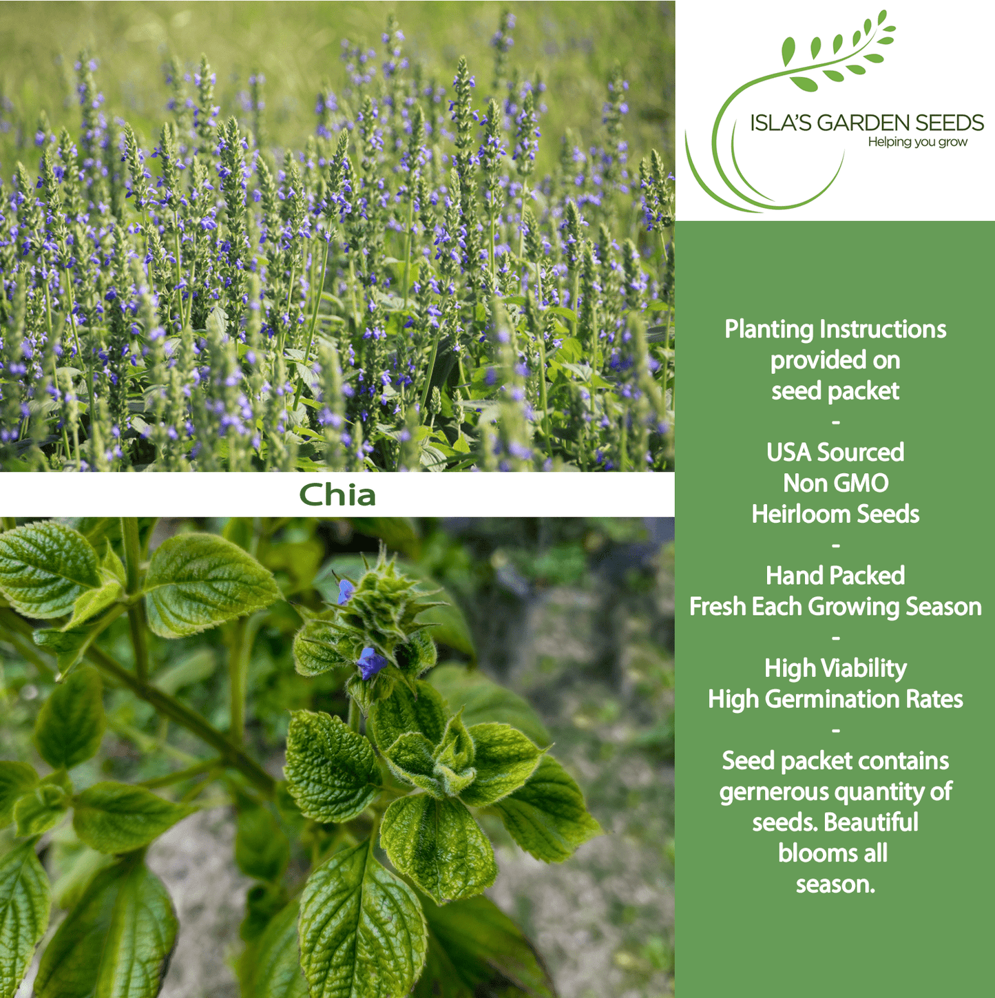 Chia | 200 Seeds/Pk