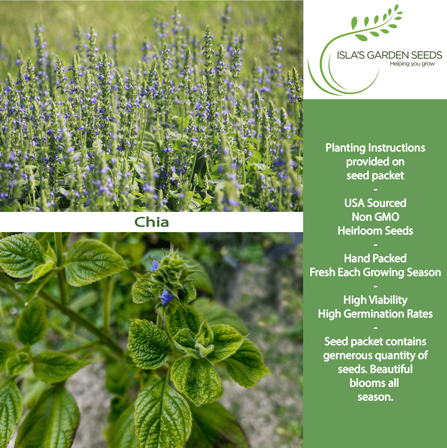 Chia | 200 Seeds/Pk