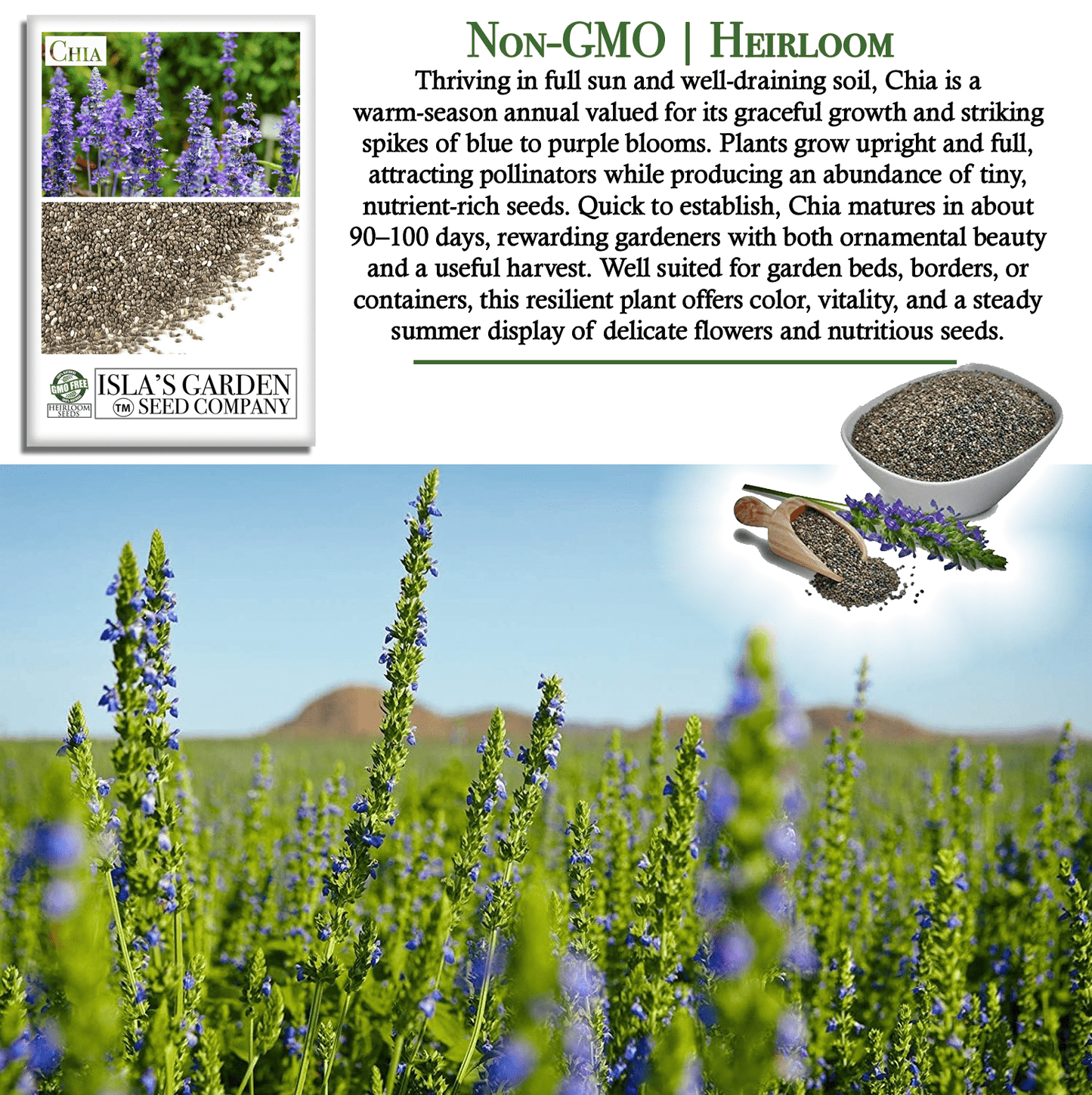 Chia | 200 Seeds/Pk
