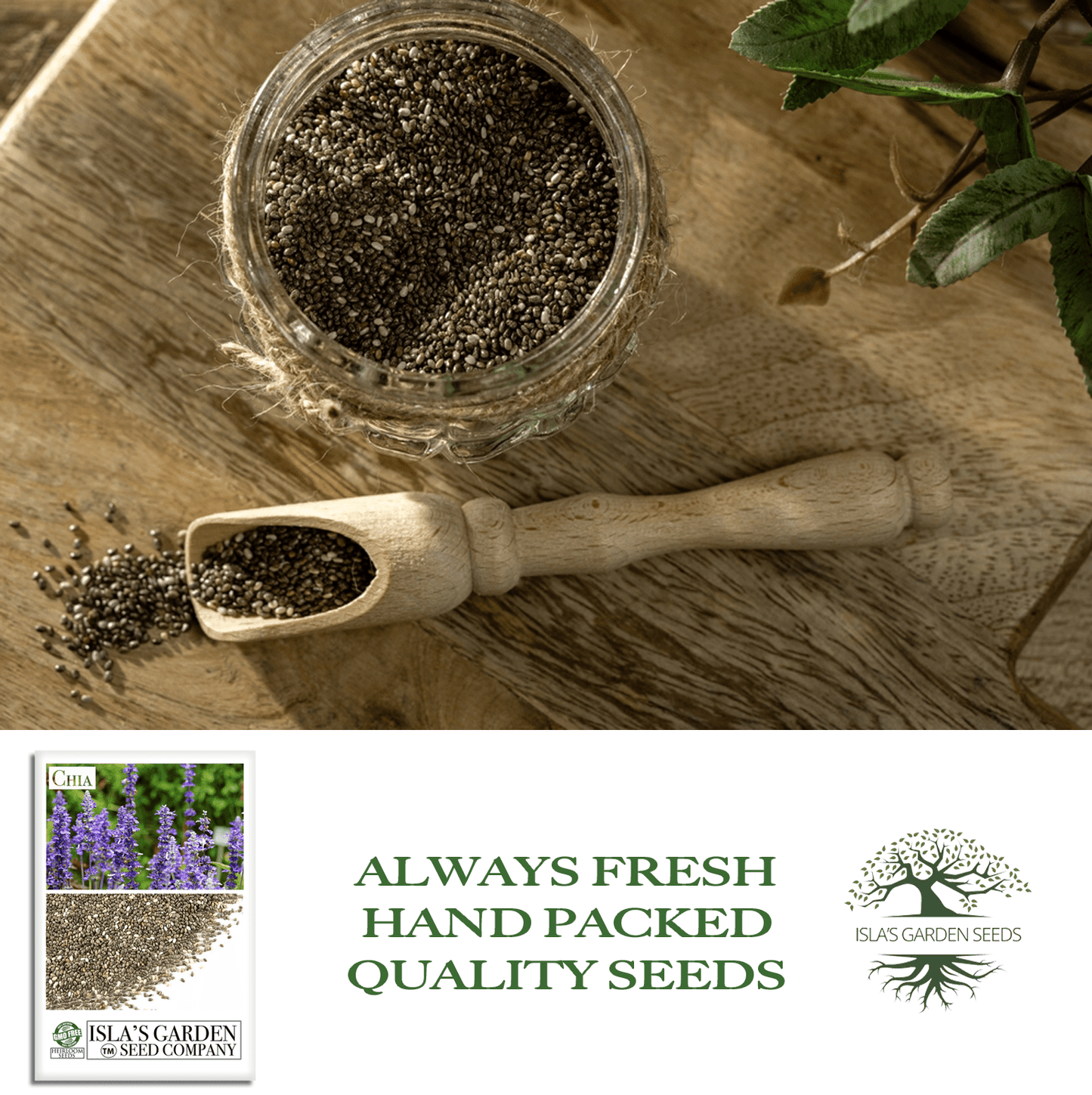 Chia | 200 Seeds/Pk
