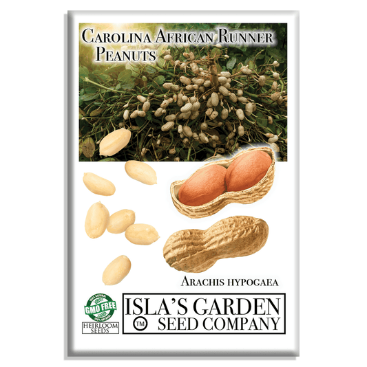 Carolina African Runner Peanut - 20 Seeds/Pk