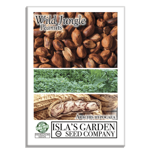 Wild Jungle Peanuts | 20 Seeds/Pk