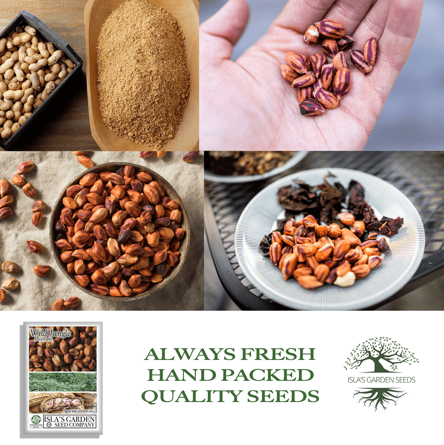 Wild Jungle Peanuts | 20 Seeds/Pk