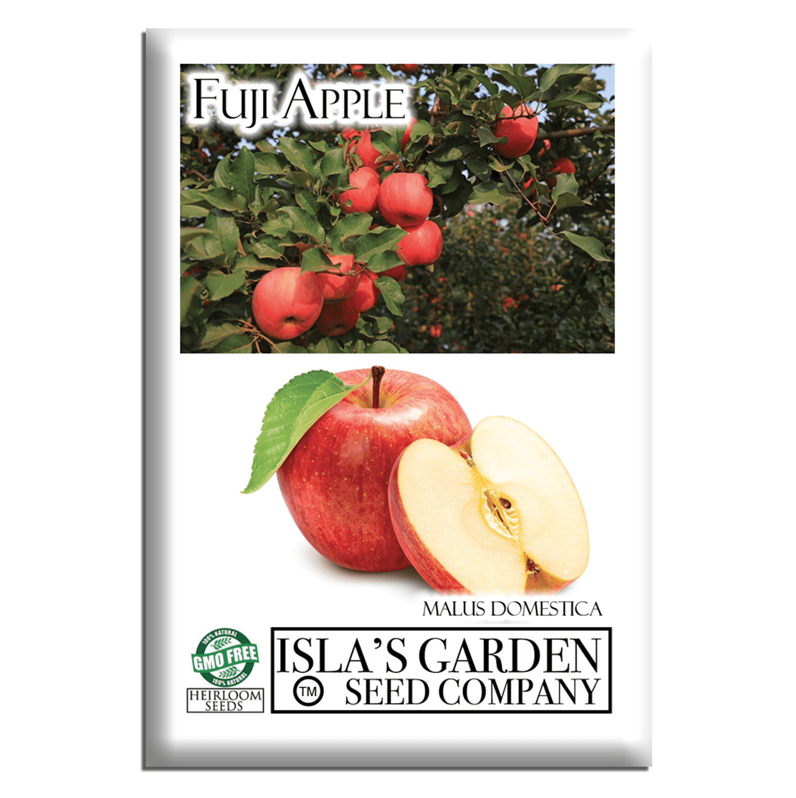 garden tree seeds Fuji Apple Fruit Tree Seeds, 10 Premium Quality Tree Seeds,70-90% Germination in