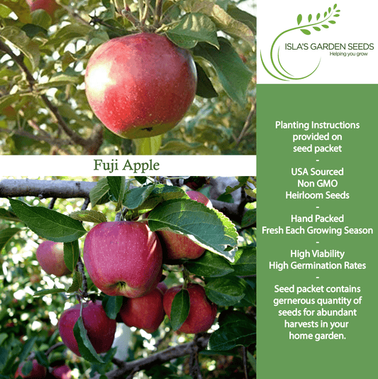 Fuji Apple Tree Seeds, 10 Seeds Per Packet