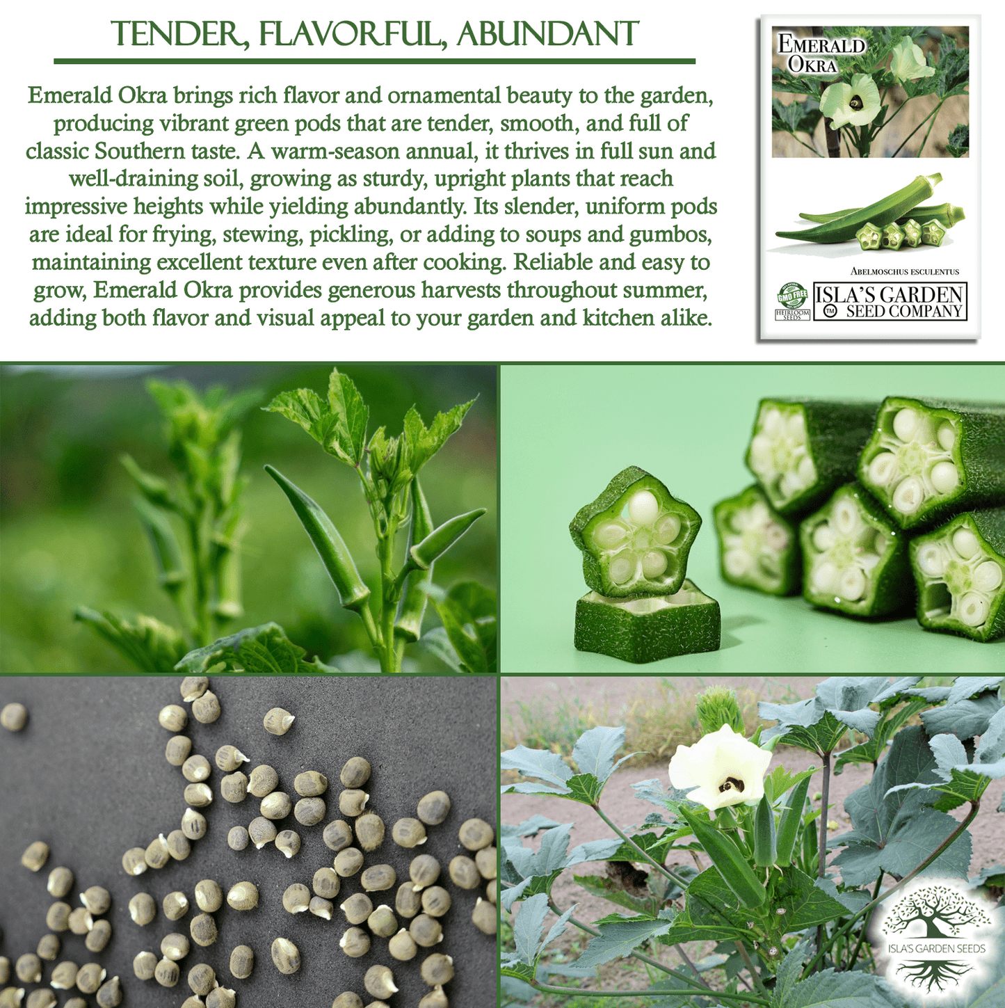 Emerald Okra | 50 Seeds/Pk