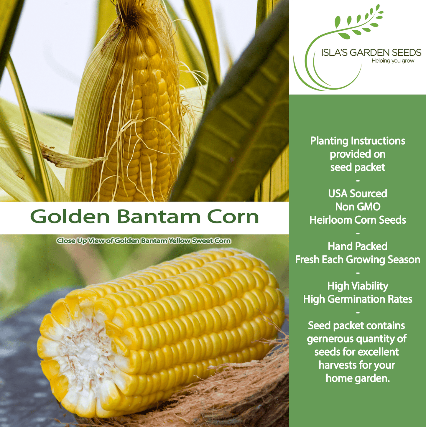 Golden X Bantam Sweet Corn | 50 Seeds/Pk