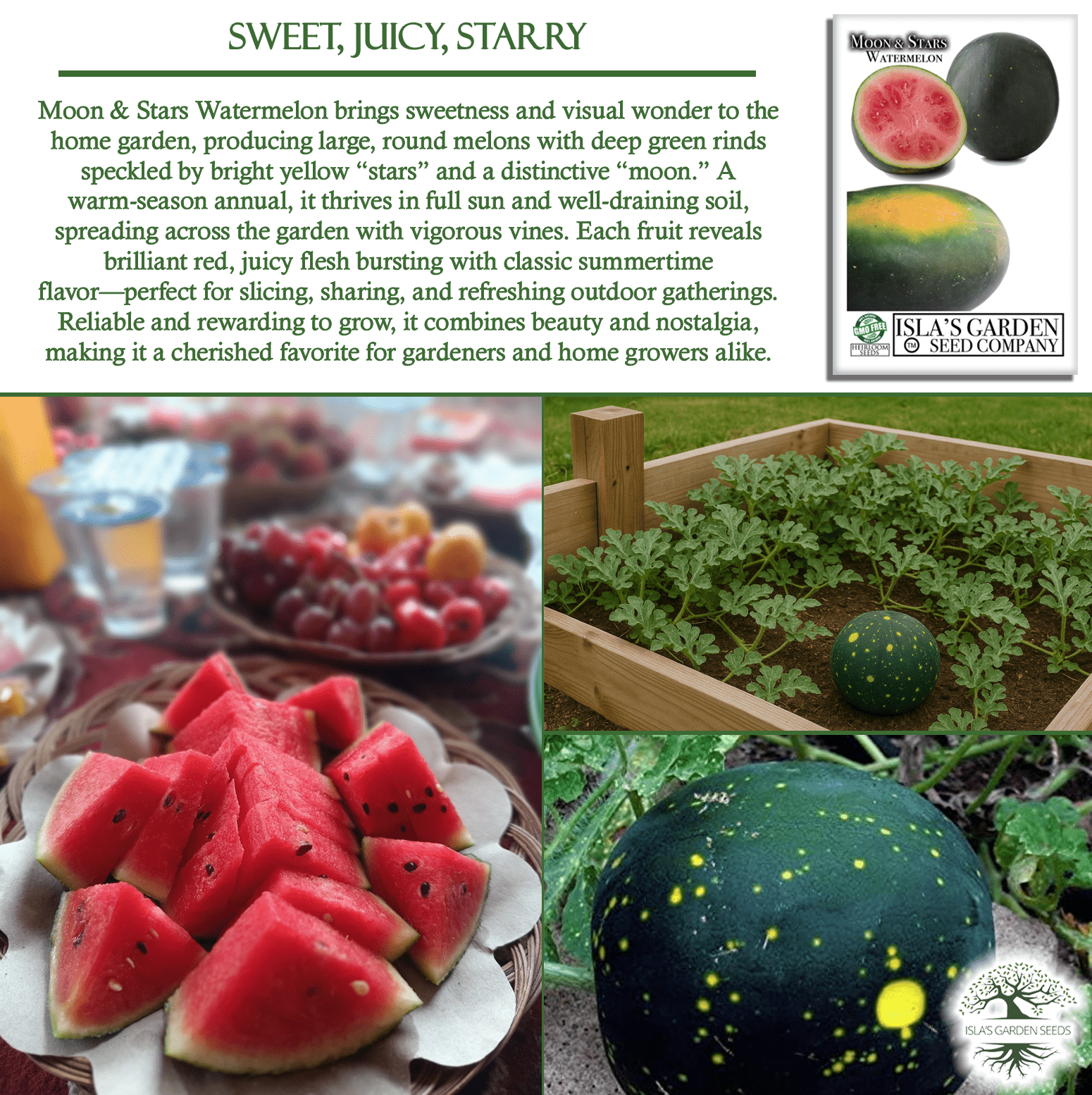 Moon & Stars Watermelon | 20 Seeds/Pk