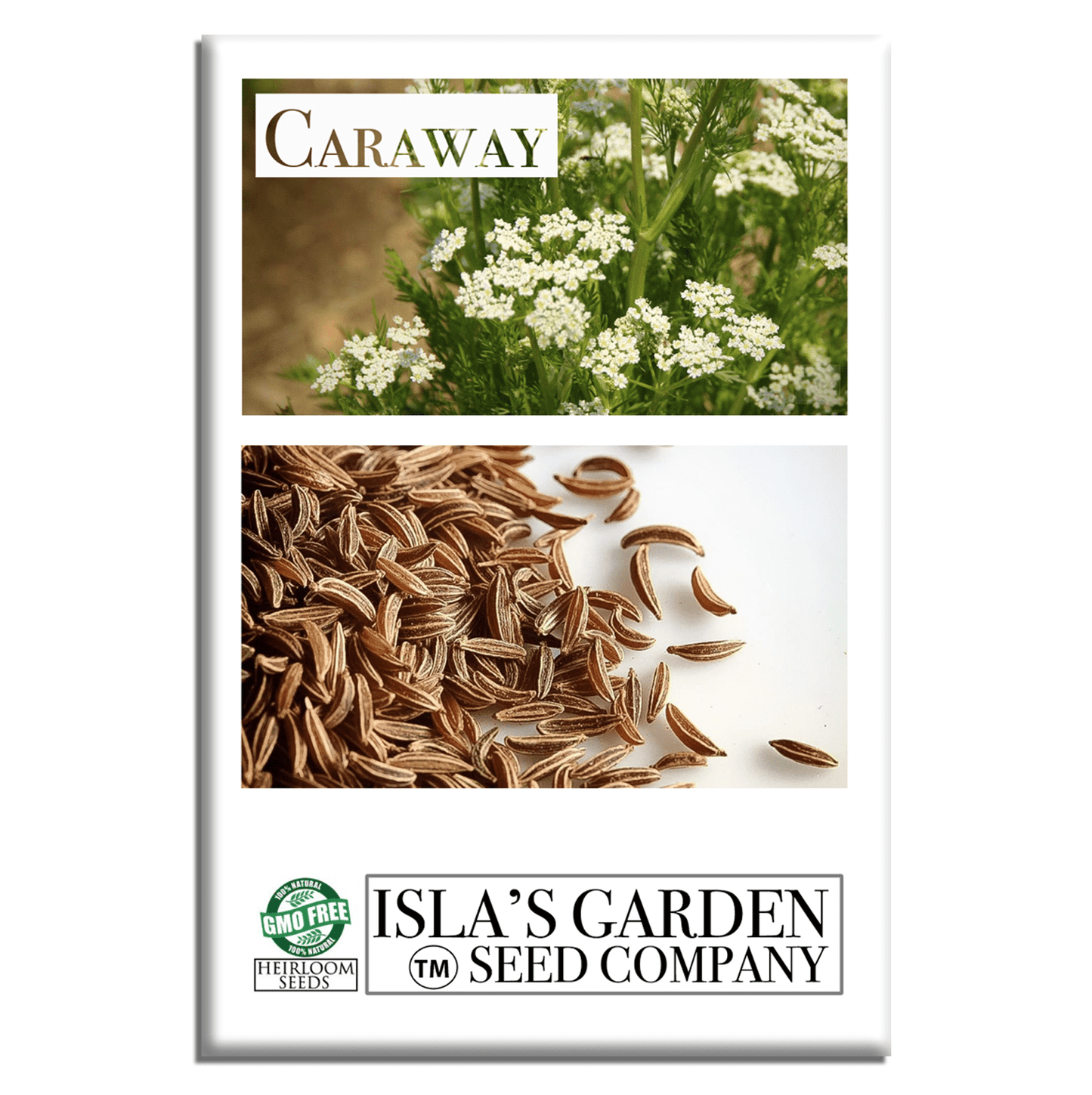 Caraway Herb | 100 Seeds/Pk