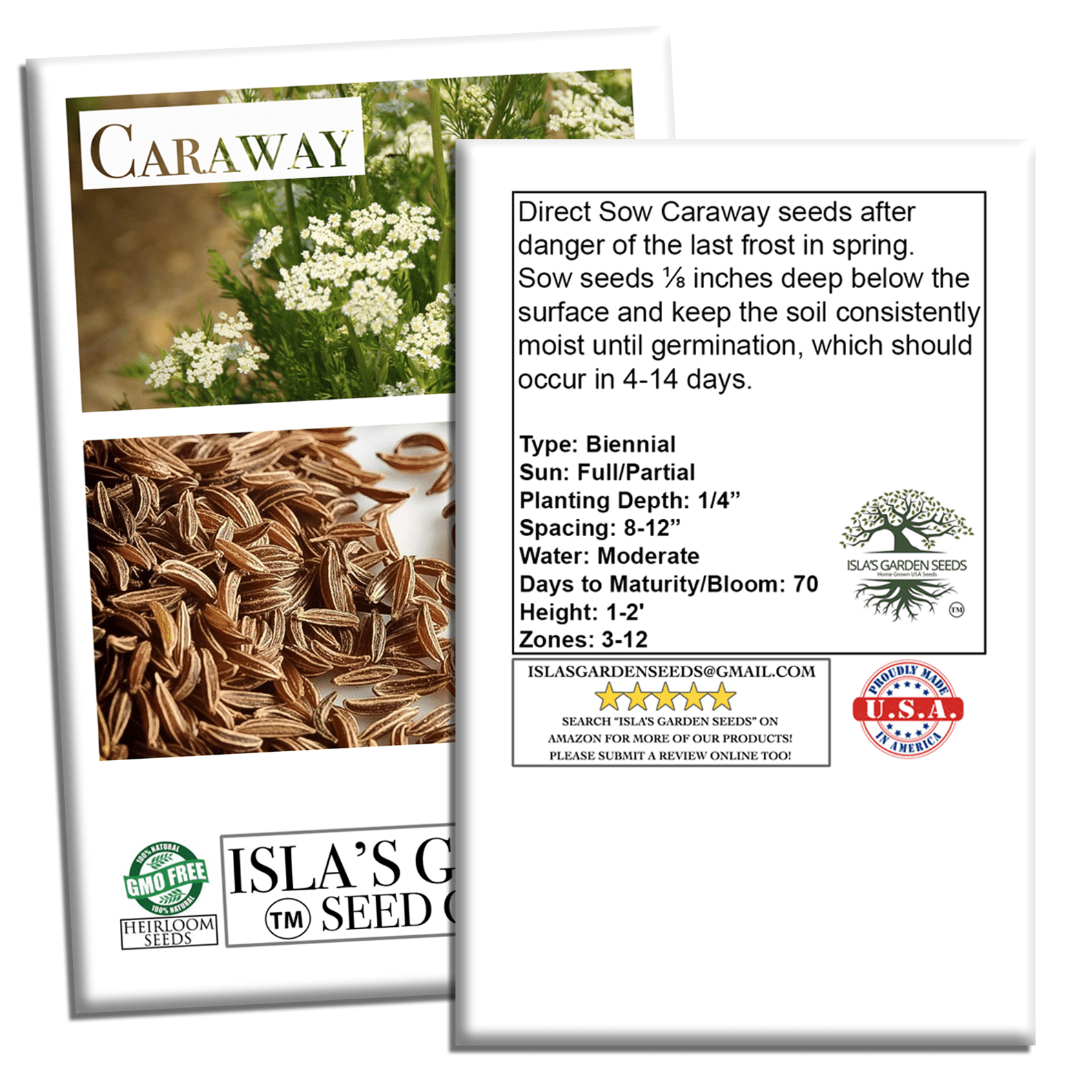 Caraway Herb | 100 Seeds/Pk