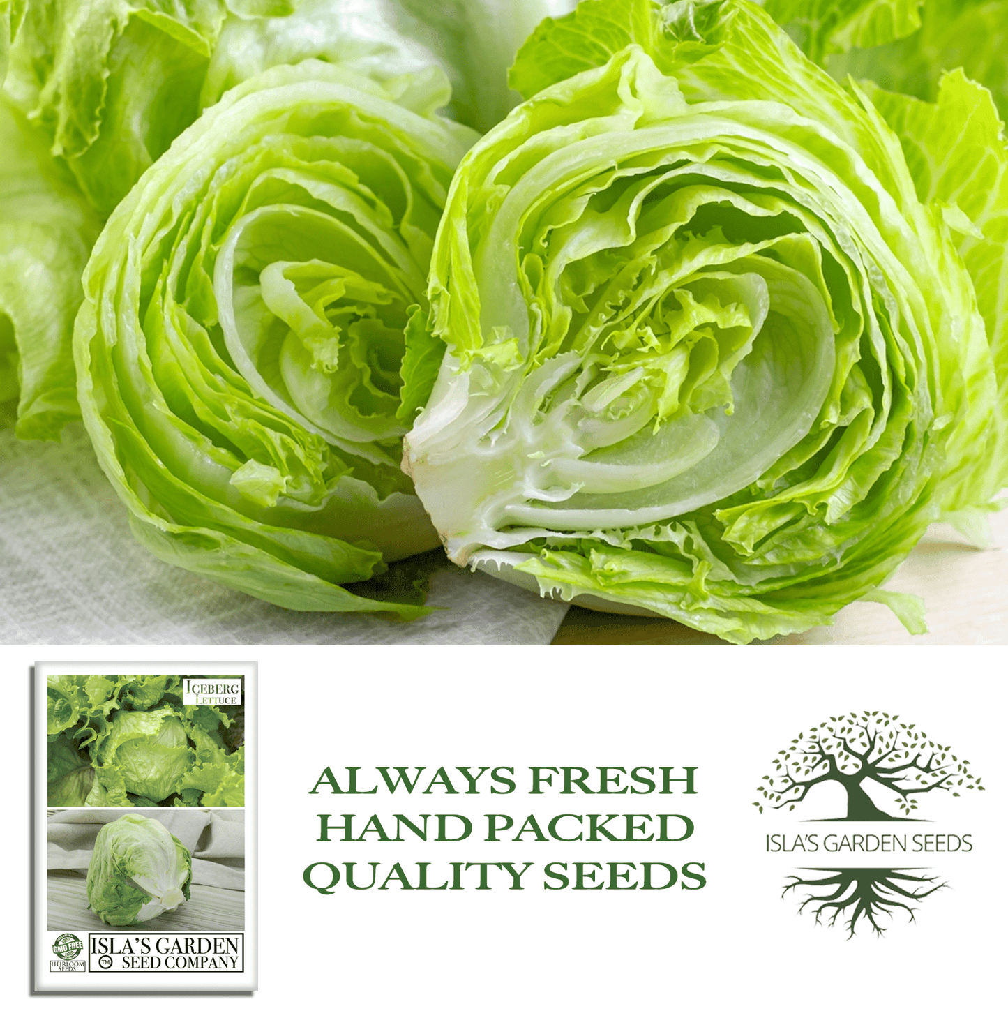 Iceberg Lettuce | 2500 Seeds/Pk
