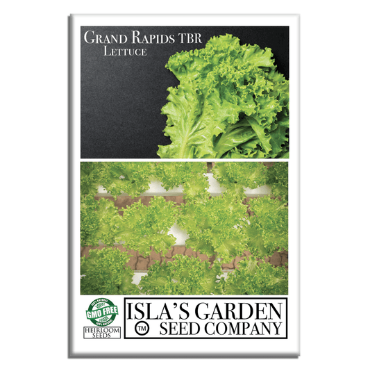 Grand Rapids TBR Lettuce | 1000 Seeds/Pk