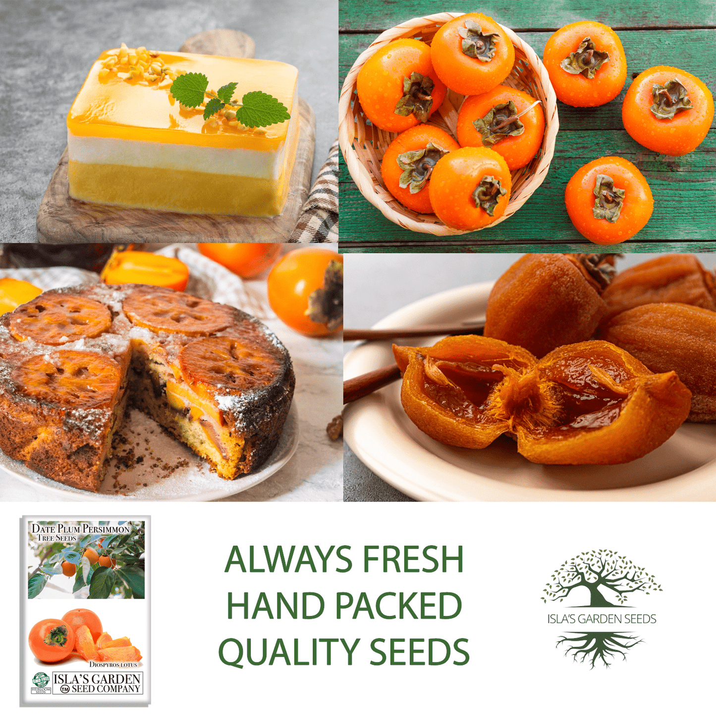 Date Plum Persimmon | 30 Seeds/Pk