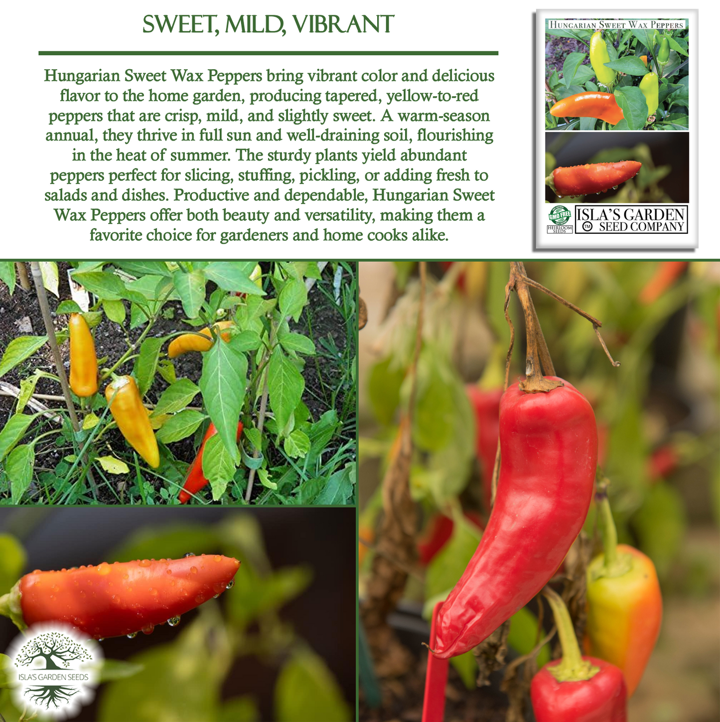Hungarian Sweet Pepper | 100 Seeds/Pk