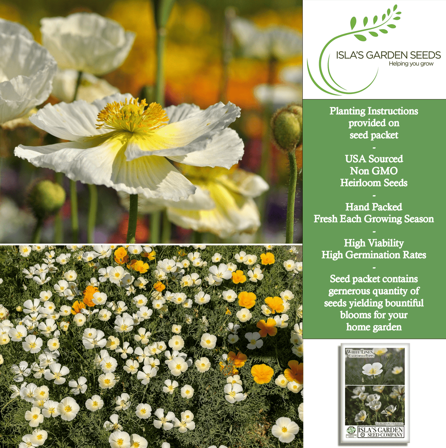 White Linen California Poppy | 1,000 Seeds/Pk