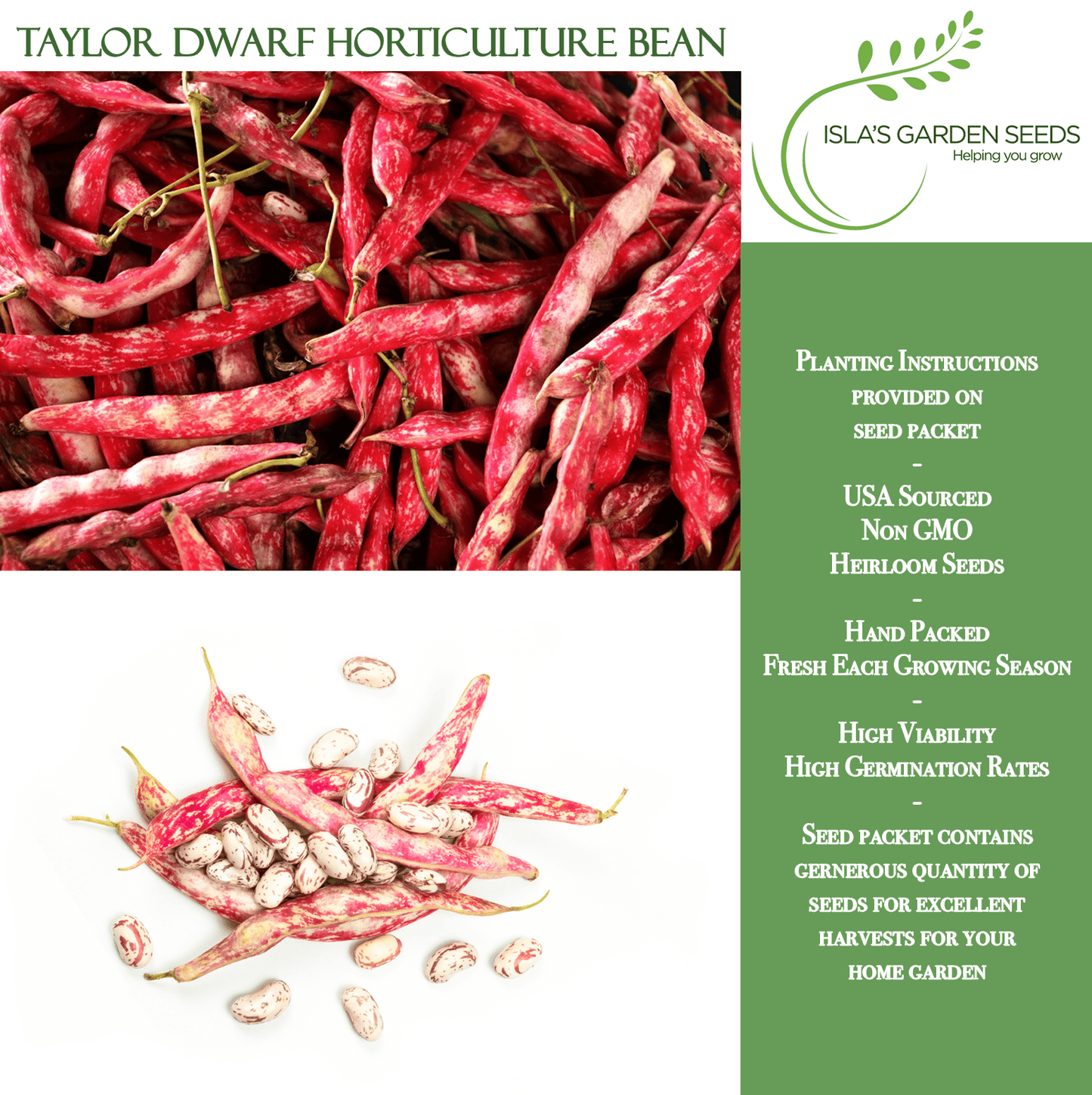 Taylor Dwarf Horticulture Cranberry Bean | 25 Seeds/Pk
