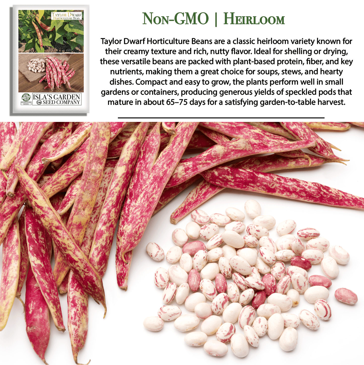 Taylor Dwarf Horticulture Cranberry Bean | 25 Seeds/Pk