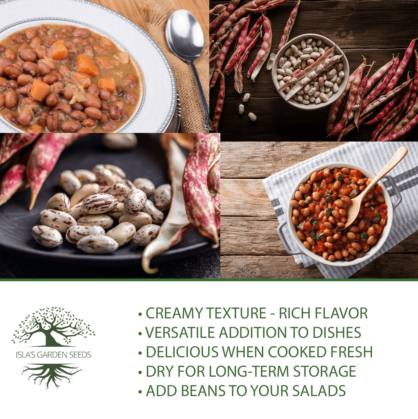 Taylor Dwarf Horticulture Cranberry Bean | 25 Seeds/Pk