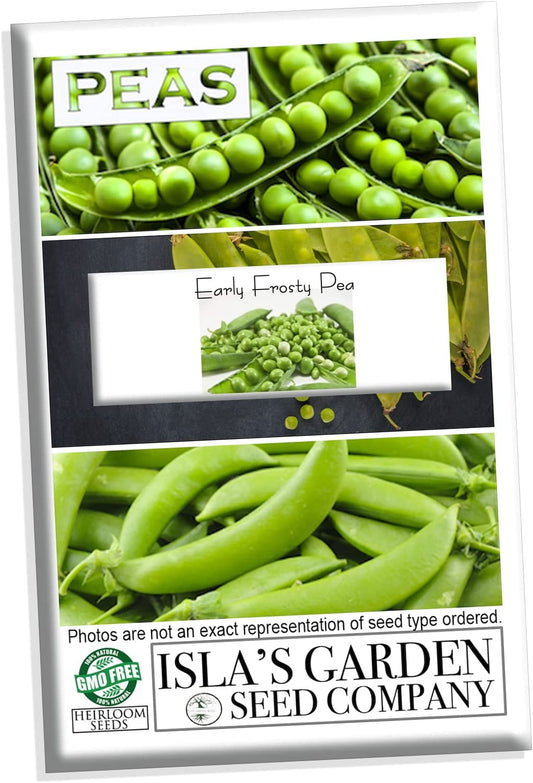 Early Frosty Pea Seeds, 50+ Heirloom Seeds Per Packet, Non GMO Seeds, Botanical Name: Pisum sativum
