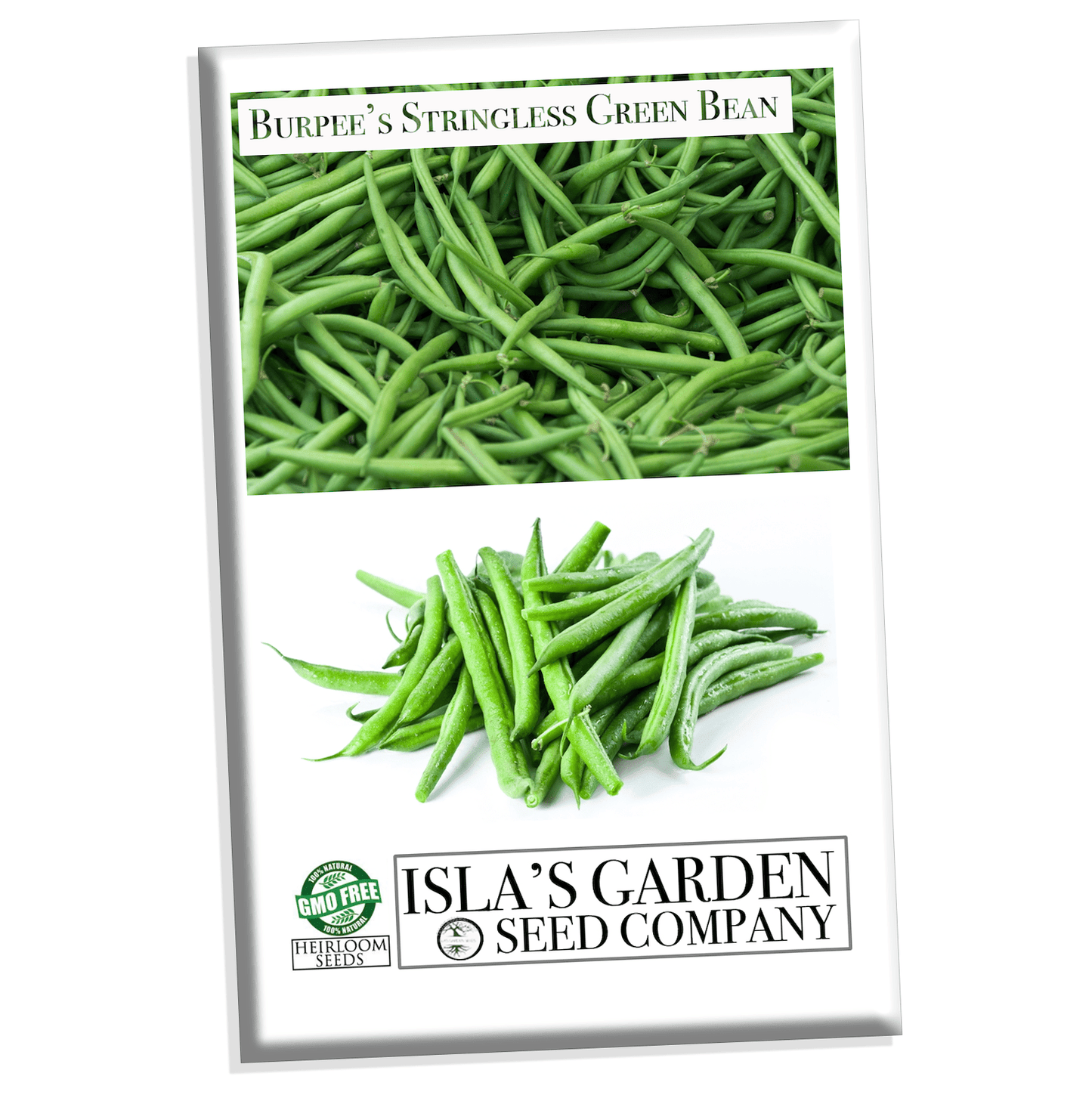 Burpee Stringless Green Bean Seeds, 25 Heirloom Seeds Per Packet, Non GMO Seeds
