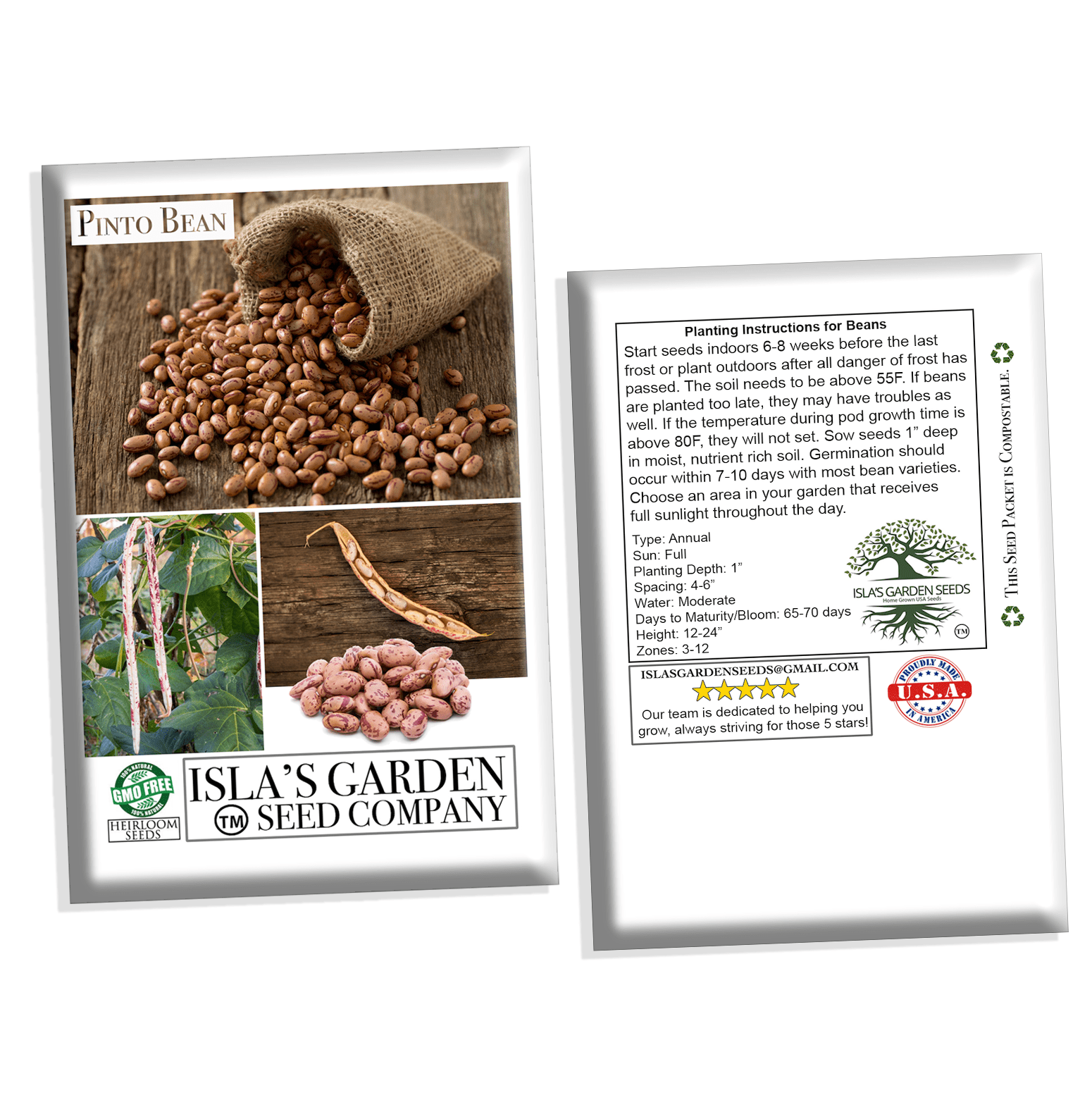 Pinto Bean Seeds, 30 Heirloom Seeds Per Packet, Non GMO Seeds