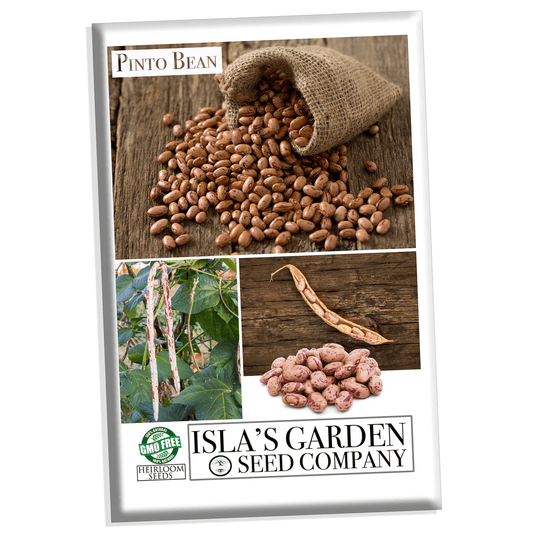 Pinto Bean Seeds, 30 Heirloom Seeds Per Packet, Non GMO Seeds