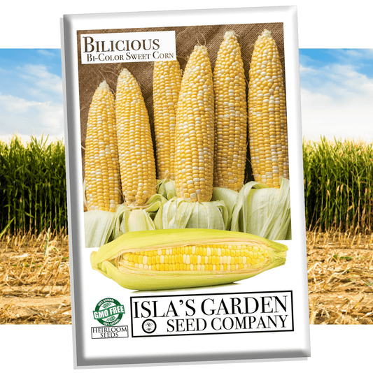 Bi-Color "Bilicious" Sweet Corn Seeds for Planting, 50+ Heirloom Seeds Per Packet, Non GMO Seeds, Botanical Name: Zea Mays