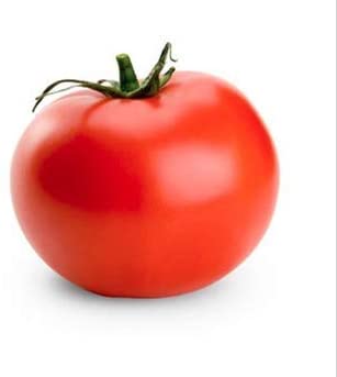Rutgers Tomato, 100 Heirloom Seeds Per Packet, Non GMO Seeds
