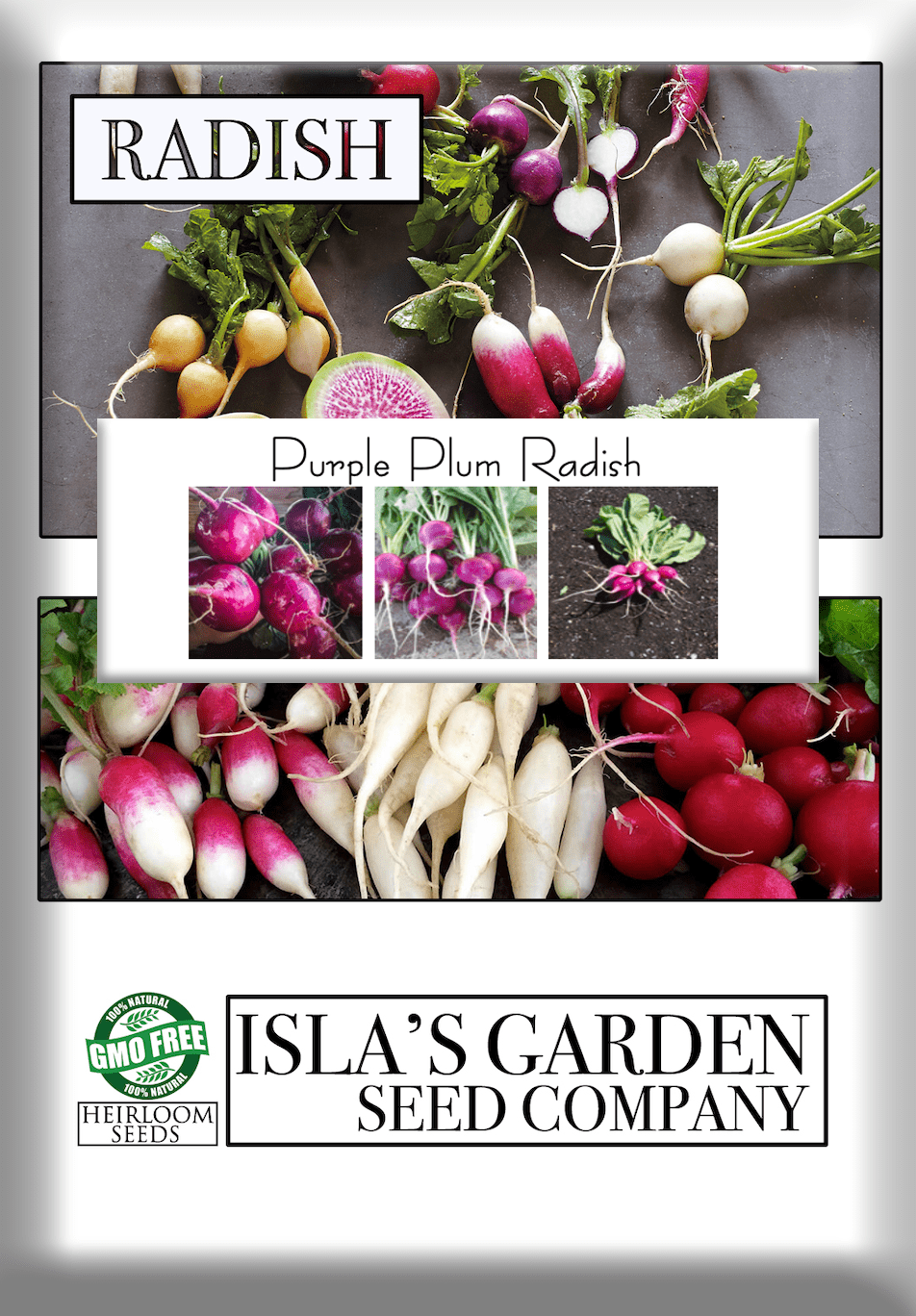 Purple Plum Radish, 150 Heirloom Seeds Per Packet, Non GMO Seeds