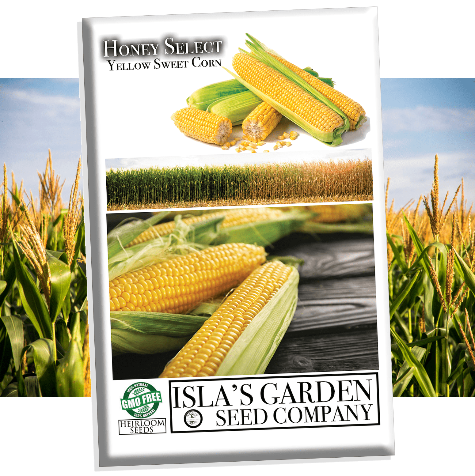 where to buy sweet corn seeds for planting Honey Select Yellow Sweet Corn Seeds for Planting, 50+ Heirloom Seeds Per Packet, Non GMO Seeds, Botanical Name: Zea Mays